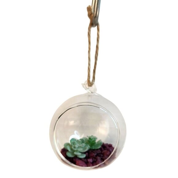 Hanging Glass Ball With Black Metal Stand For Succulents , Air Plants, Tea Light - Picture 10 of 10